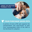 under-the-weather-pet-ready-cal-for-pupp-5.jpg