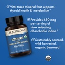 dr-mercola-iodine-from-organic-seaweed-6-4.jpg