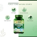 himalayan-organics-potassium-citrate-800-4.jpg