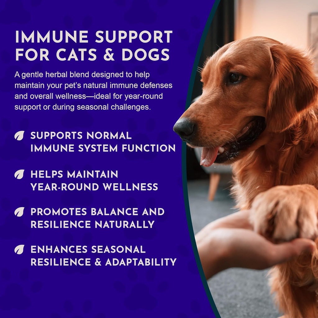 animal-essentials-super-immune-for-dogs--5.jpg