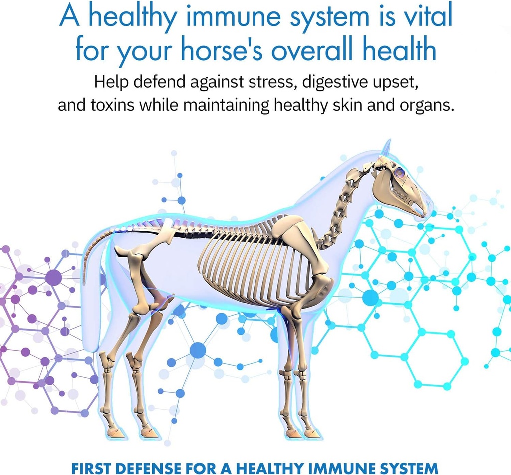 healthygutTM-probiotics-for-horses-dieta-2.jpg