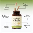 herbal-roots-ginger-supplement-organic-g-4.jpg