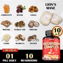satoomi-10in1-mushroom-complex-supplemen-4.jpg