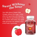belive-apple-cider-vinegar-sugar-free-gu-5.jpg
