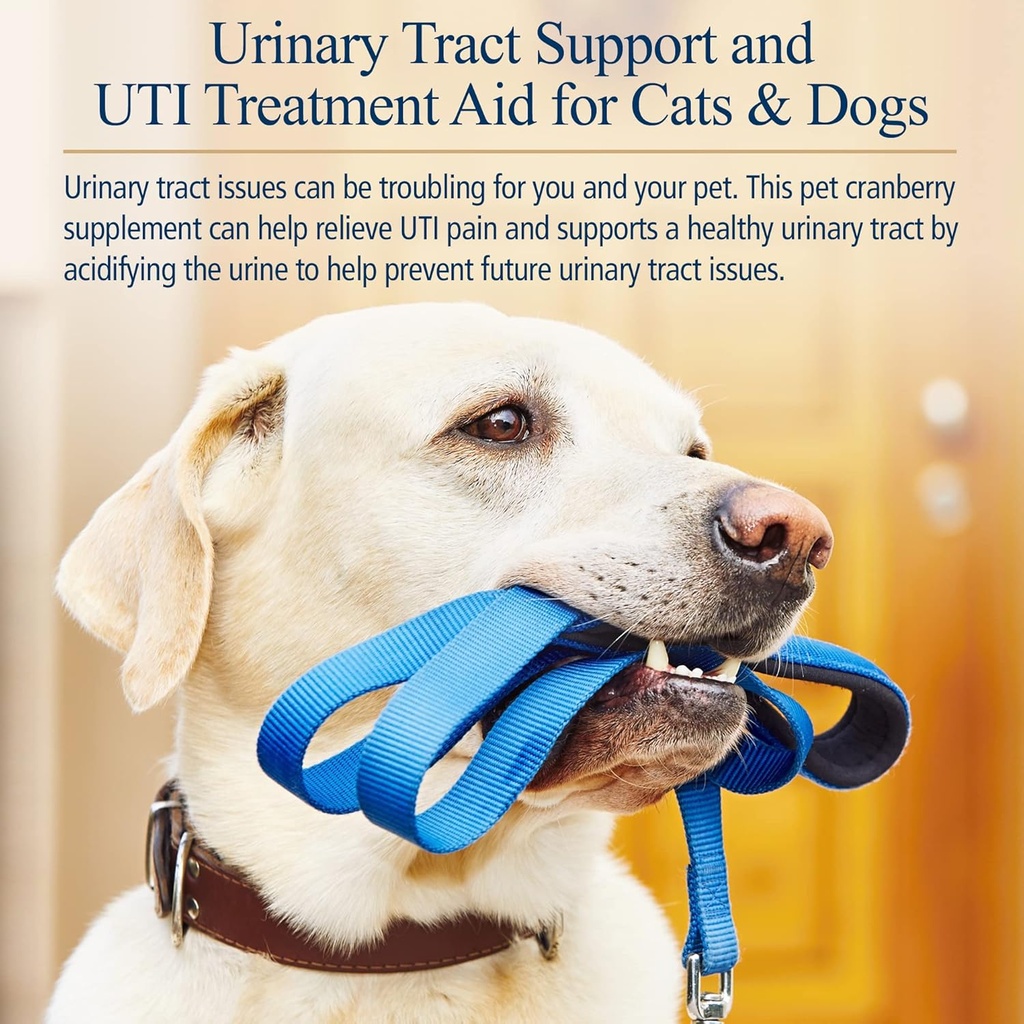 rx-vitamins-cranberry-pills-for-dogs---c-3.jpg