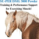 su-per-dmg-3000-horse-supplement---train-2.jpg
