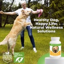 only-natural-pet-canine-bladder-control--5.jpg