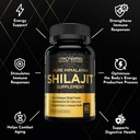 atlantis-nutrition-himalayan-shilajit-ca-5.jpg