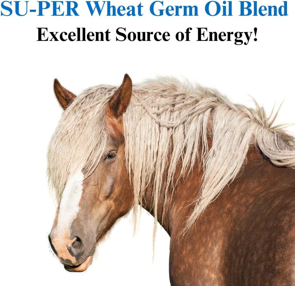 su-per-wheat-germ-oil-blend-for-horses---2.jpg