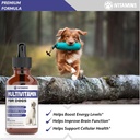 multivitamin-for-dogs-dog-multivitamin-f-3.jpg