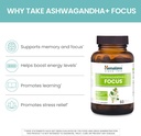 himalaya-ashwagandha-focus---herbal-focu-4.jpg