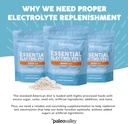 paleovalley-essential-electrolytes-powde-3.jpg