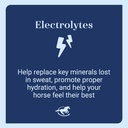 smartlytes-paste-horse-electrolyte-paste-5.jpg