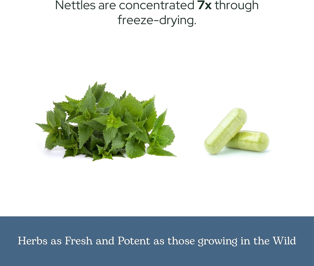 eclectic-herb---nettle-quercetin-capsule-6.jpg