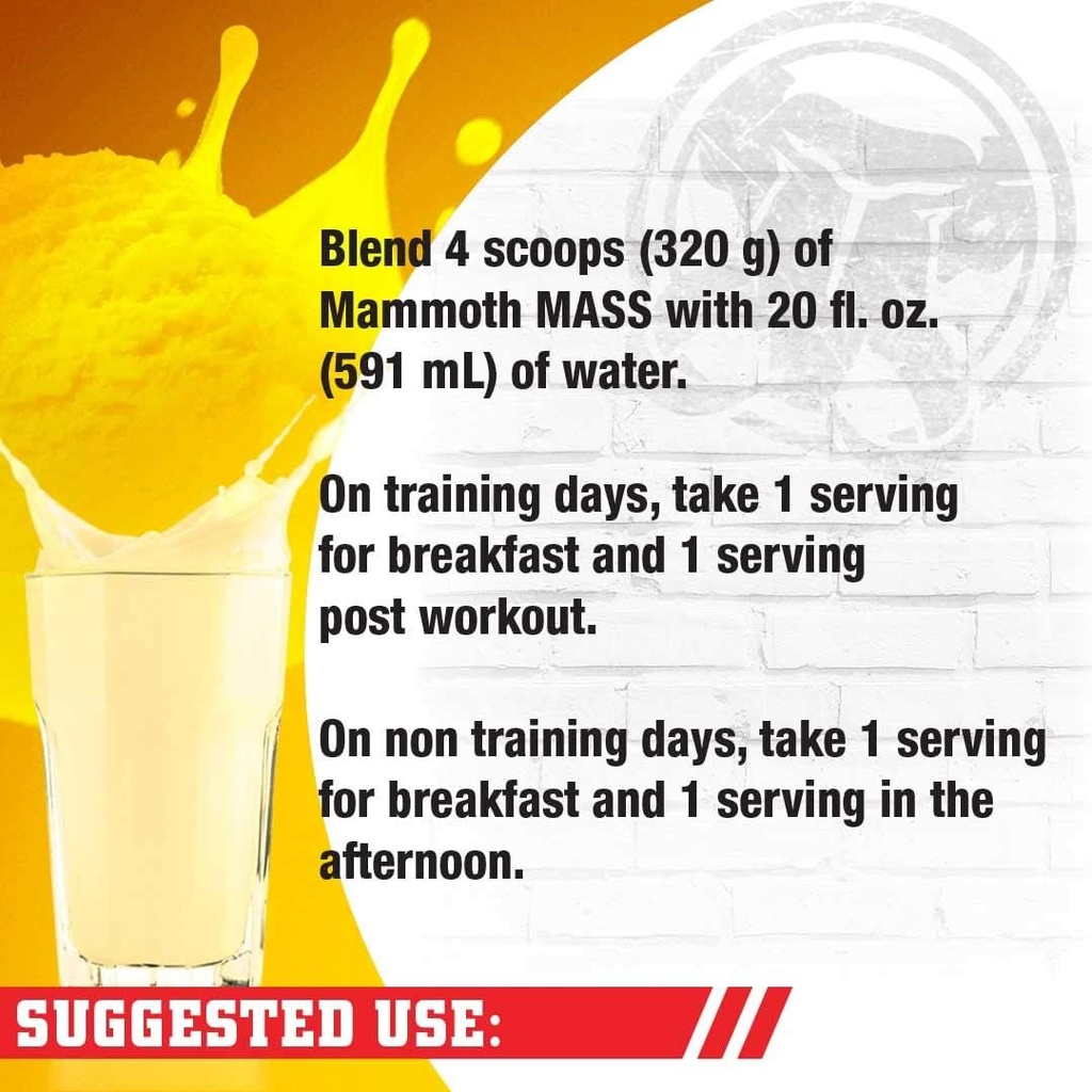 inter-active-nutrition-mammoth-mass-supp-4.jpg