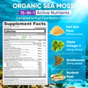 sea-moss-gummies-algae-omega-3-for-adult-2.jpg