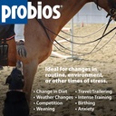 probios-for-horses-soft-chews-daily-prob-6.jpg
