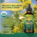 mullein-drops---lung-cleanse---leaf-extr-3.jpg