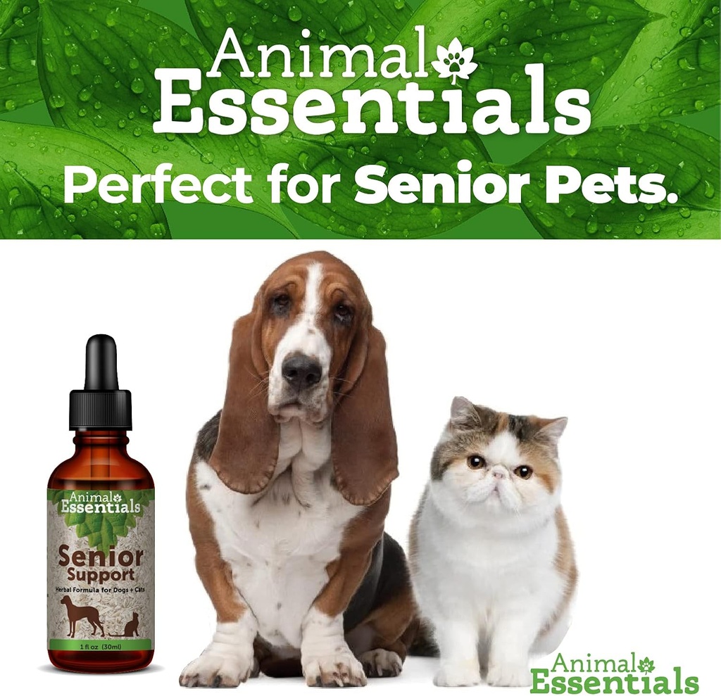 animal-essentials-senior-support-for-dog-6.jpg