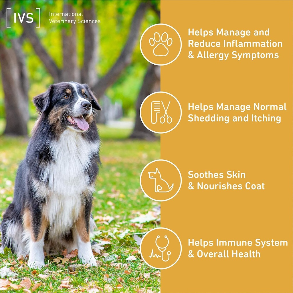 new-international-veterinary-sciences-iv-3.jpg