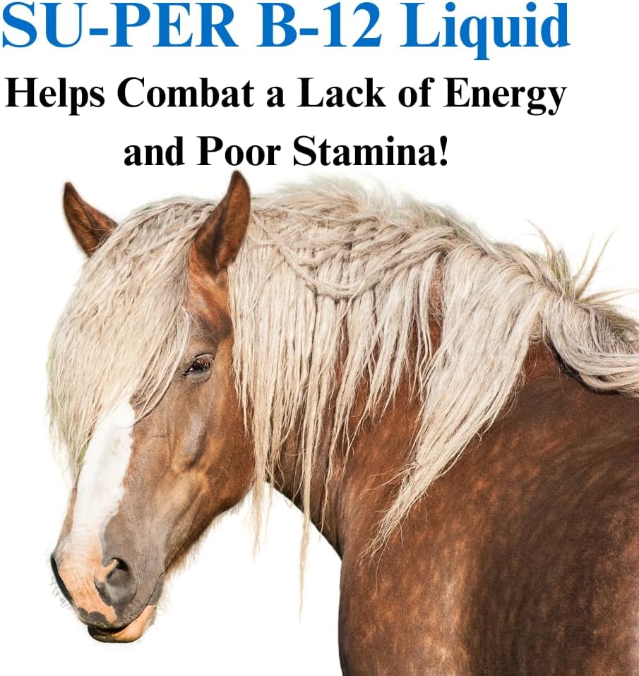 su-per-b-12-energy-horse-supplement---eq-3.jpg