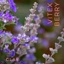 vitex-berry---premium-chasteberry-41-ext-2.jpg