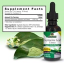 natures-answer-alcohol-free-gymnema-leaf-3.jpg