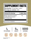 bulksupplementscom-reishi-mushroom-extra-2.jpg