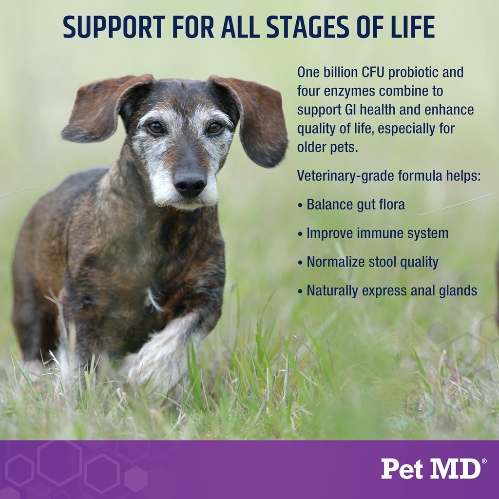 pet-md-probiotics-enzymes-for-dogs---gut-3.jpg
