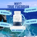 okinawas-true-fucoidan---85-pure-fucoida-2.jpg