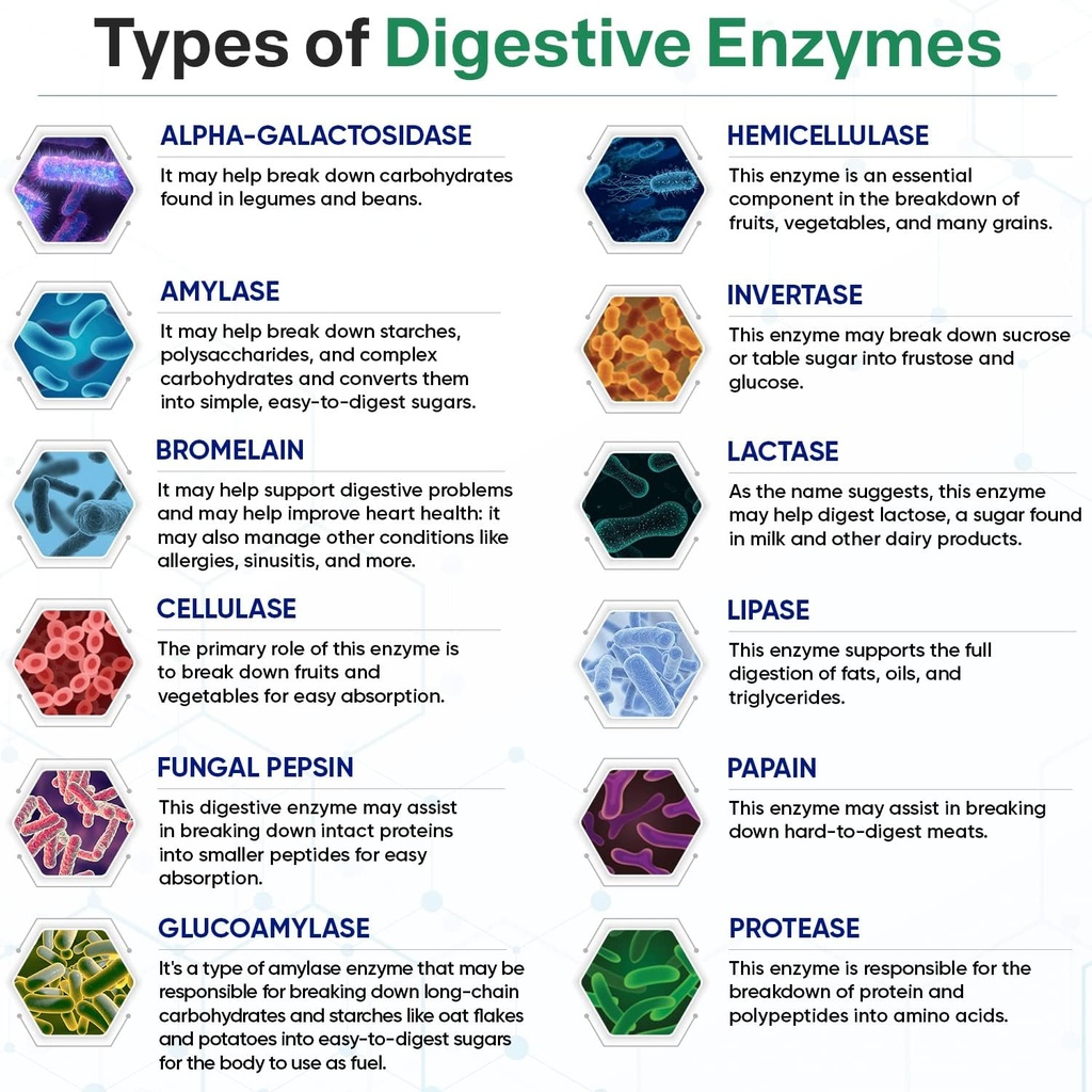 wholesome-wellness-digestive-enzymes-100-5.jpg
