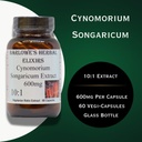 cynomorium-songaricum-extract-101-600mg--4.jpg
