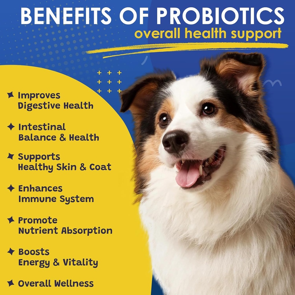 probiotics-for-dogs---dog-probiotics-for-3.jpg