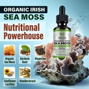 benevolent-nourishment-organic-irish-sea-4.jpg