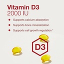 protocol-vitamin-d3-2000-iu---immune-sup-4.jpg