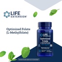 life-extension-brain-heart-health-folate-4.jpg