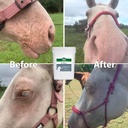 stance-equitec-re-move---horse-supplemen-6.jpg