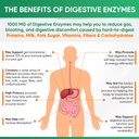 wholesome-wellness-digestive-enzymes-100-6.jpg