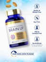 carlyle-brain-up-supplement-60-softgels--5.jpg