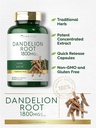 carlyle-dandelion-root-1800mg-300-capsul-3.jpg