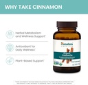 himalaya-organic-cinnamon-30-day-supply--4.jpg