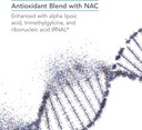 nutricology-nac-enhanced-supplement---n--4.jpg