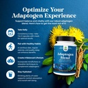 herbal-adaptogen-mood-support-supplement-4.jpg