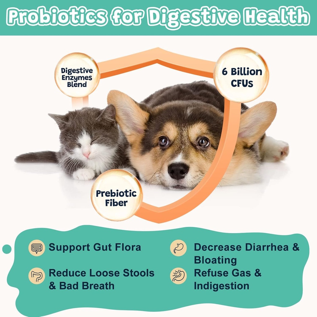 probiotics-for-dogs-digestive-health-dog-3.jpg