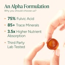 10-in-1-alpha-shilajit-gummies-4000-mg-p-3.jpg