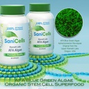 troya-sani-cells-afa-blue-green-algae-ca-4.jpg