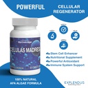 stem-cell---celulas-madres-supplement-fo-6.jpg