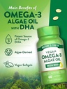 natures-truth-vegan-omega-3-softgels-60--5.jpg