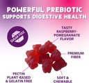 prebiotic-fiber-gummies-4g---sugar-free--6.jpg