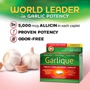 garlique-cardiovascular-dietary-suppleme-6.jpg